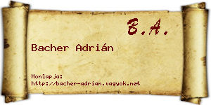 Bacher Adrián névjegykártya